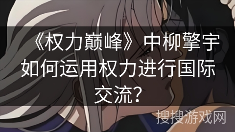 《权力巅峰》中柳擎宇如何运用权力进行国际交流？
