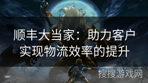 顺丰大当家：助力客户实现物流效率的提升