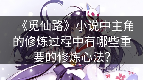 《觅仙路》小说中主角的修炼过程中有哪些重要的修炼心法？
