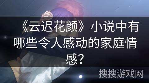 《云迟花颜》小说中有哪些令人感动的家庭情感？