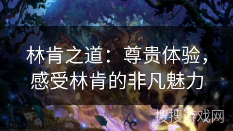 林肯之道：尊贵体验，感受林肯的非凡魅力