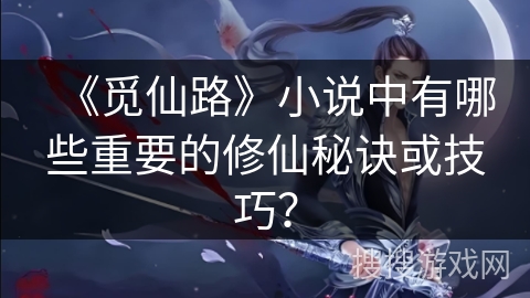 《觅仙路》小说中有哪些重要的修仙秘诀或技巧？