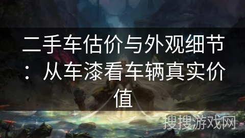 二手车估价与外观细节：从车漆看车辆真实价值