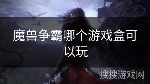 魔兽争霸哪个游戏盒可以玩