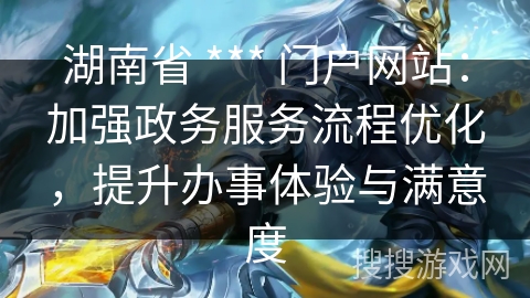 湖南省 *** 门户网站：加强政务服务流程优化，提升办事体验与满意度