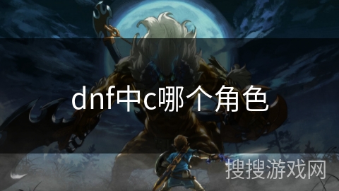 dnf中c哪个角色