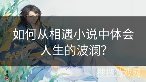 如何从相遇小说中体会人生的波澜？