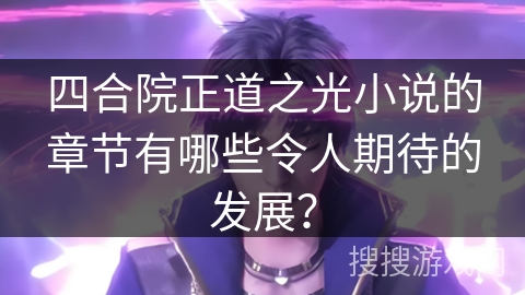 四合院正道之光小说的章节有哪些令人期待的发展？