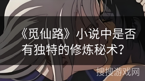 《觅仙路》小说中是否有独特的修炼秘术？