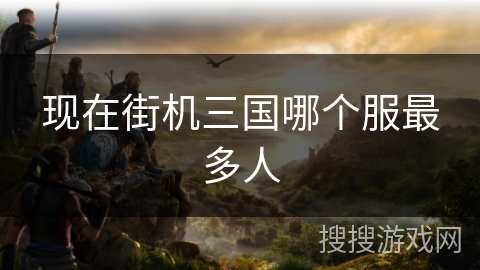 现在街机三国哪个服最多人