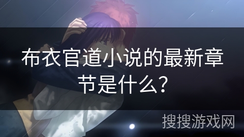 布衣官道小说的最新章节是什么？