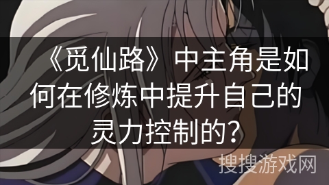 《觅仙路》中主角是如何在修炼中提升自己的灵力控制的？