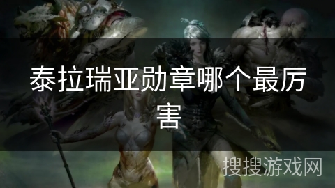 泰拉瑞亚勋章哪个最厉害