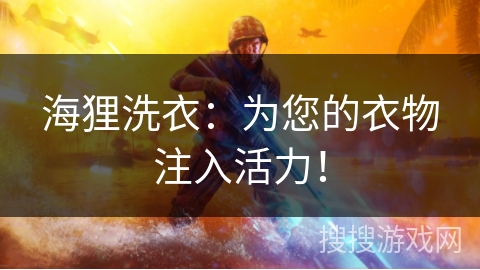 海狸洗衣：为您的衣物注入活力！