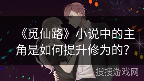 《觅仙路》小说中的主角是如何提升修为的？