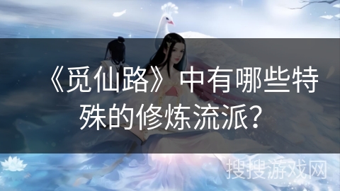 《觅仙路》中有哪些特殊的修炼流派？