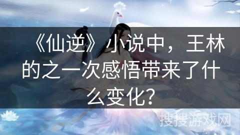 《仙逆》小说中，王林的之一次感悟带来了什么变化？