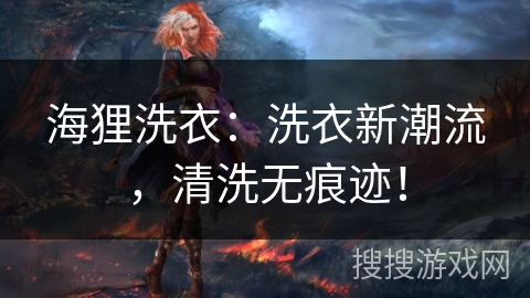 海狸洗衣：洗衣新潮流，清洗无痕迹！