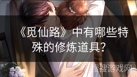 《觅仙路》中有哪些特殊的修炼道具？
