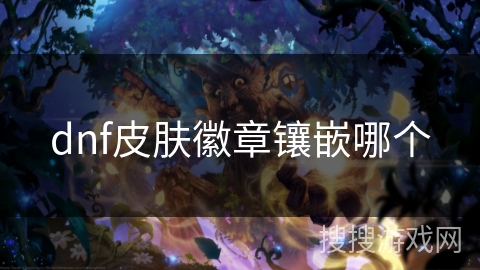 dnf皮肤徽章镶嵌哪个
