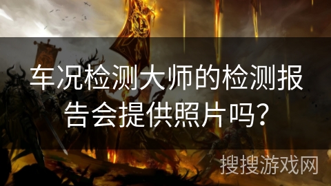 车况检测大师的检测报告会提供照片吗？