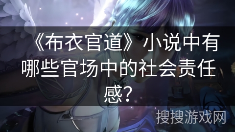 《布衣官道》小说中有哪些官场中的社会责任感？