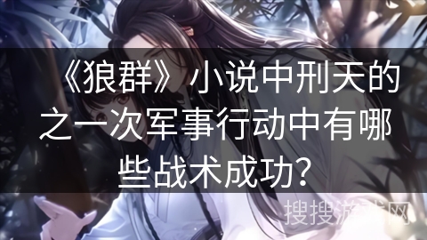 《狼群》小说中刑天的之一次军事行动中有哪些战术成功？