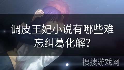 调皮王妃小说有哪些难忘纠葛化解？