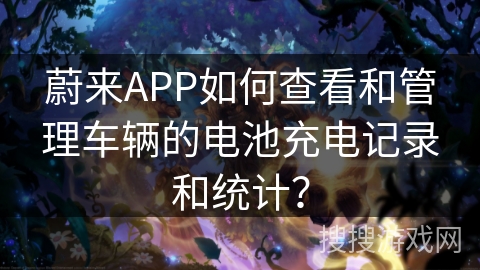 蔚来APP如何查看和管理车辆的电池充电记录和统计？