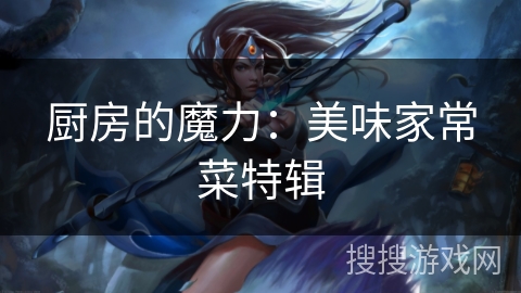 厨房的魔力：美味家常菜特辑