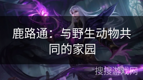鹿路通：与野生动物共同的家园