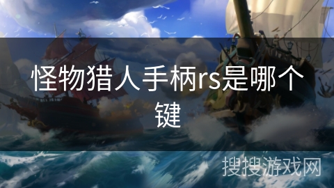 怪物猎人手柄rs是哪个键