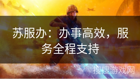 苏服办：办事高效，服务全程支持