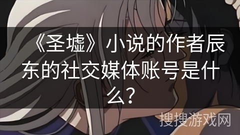 《圣墟》小说的作者辰东的社交媒体账号是什么？