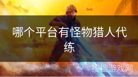 哪个平台有怪物猎人代练
