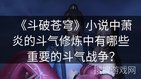 《斗破苍穹》小说中萧炎的斗气修炼中有哪些重要的斗气战争？