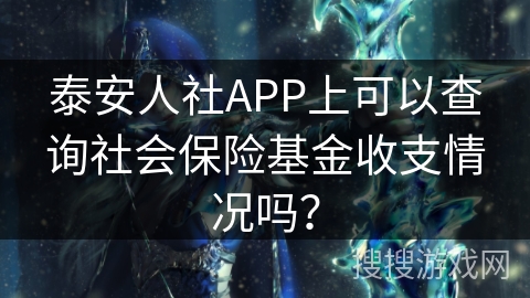 泰安人社APP上可以查询社会保险基金收支情况吗？