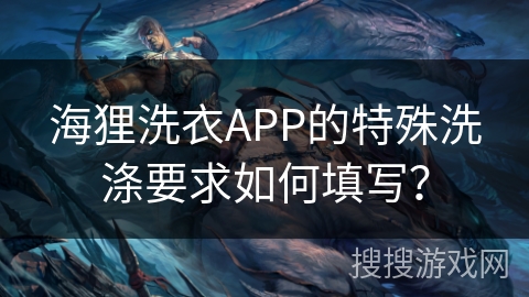 海狸洗衣APP的特殊洗涤要求如何填写？