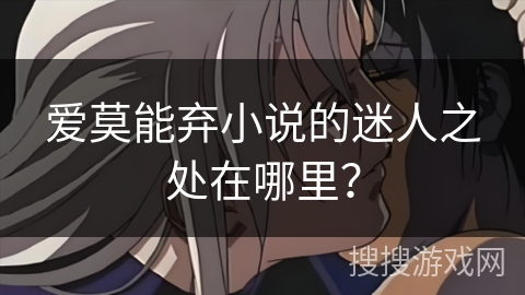 爱莫能弃小说的迷人之处在哪里？