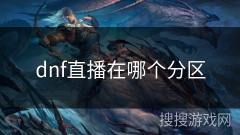 dnf直播在哪个分区