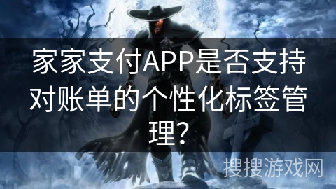 家家支付APP是否支持对账单的个性化标签管理？