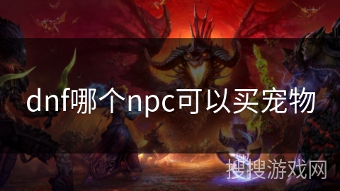 dnf哪个npc可以买宠物