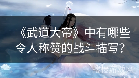 《武道大帝》中有哪些令人称赞的战斗描写？
