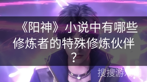 《阳神》小说中有哪些修炼者的特殊修炼伙伴？