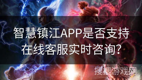 智慧镇江APP是否支持在线客服实时咨询？