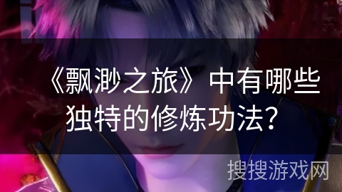 《飘渺之旅》中有哪些独特的修炼功法？