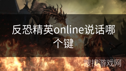 反恐精英online说话哪个键
