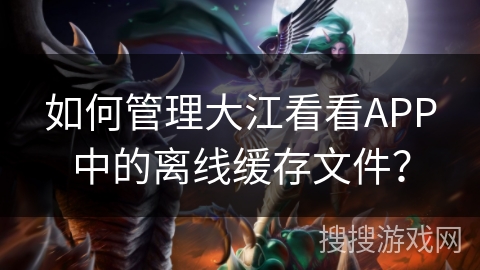 如何管理大江看看APP中的离线缓存文件？