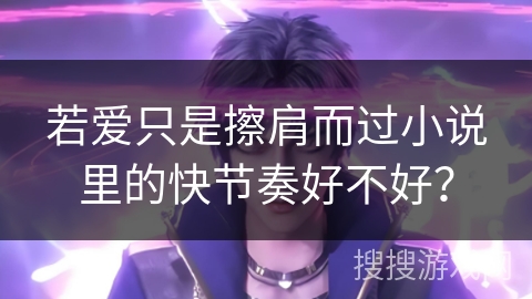 若爱只是擦肩而过小说里的快节奏好不好？