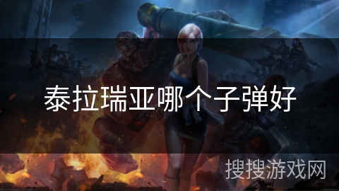 泰拉瑞亚哪个子弹好